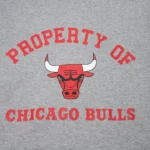 EE® NBA Bulls Hoodie